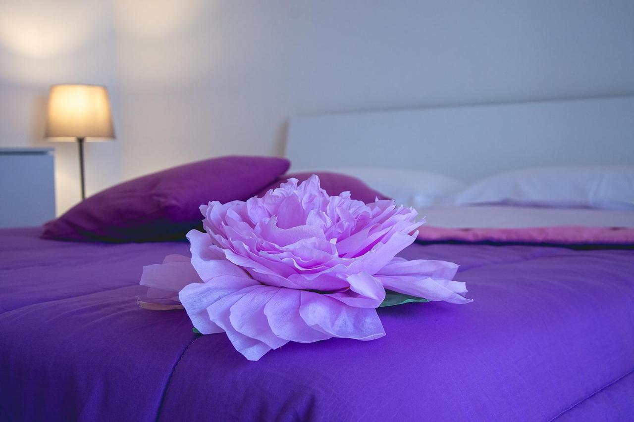 B&B A Casa Di Amici Caserta Dış mekan fotoğraf